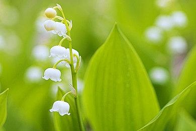 掌机要来了？PS5新增“低能耗模式”疑似为新掌机铺路